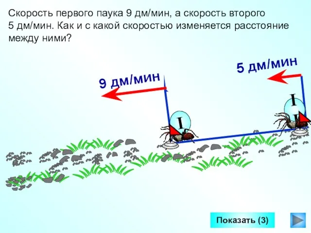 Показать (3) Скорость первого паука 9 дм/мин, а скорость второго 5 дм/мин.