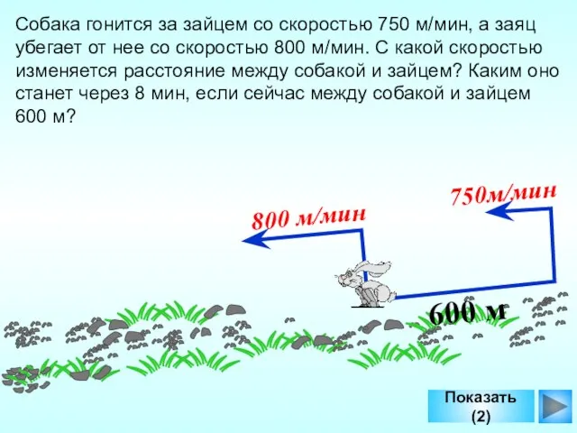 Показать (2) 600 м 800 м/мин 750м/мин Собака гонится за зайцем со