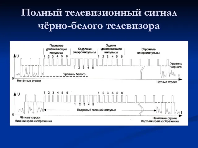 Полный телевизионный сигнал чёрно-белого телевизора