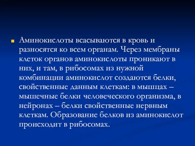 Аминокислоты всасываются в кровь и разносятся ко всем органам. Через мембраны клеток