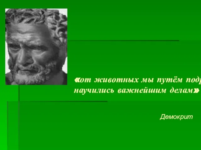 «от животных мы путём подражания научились важнейшим делам» Демокрит