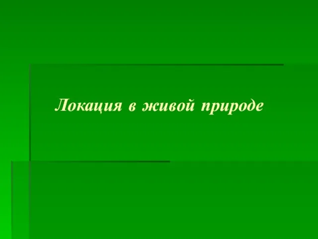 Локация в живой природе