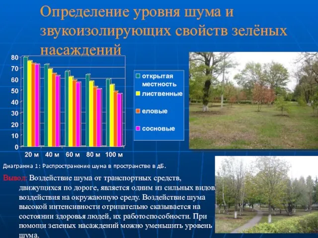 Определение уровня шума и звукоизолирующих свойств зелёных насаждений Диаграмма 1: Распространение шума