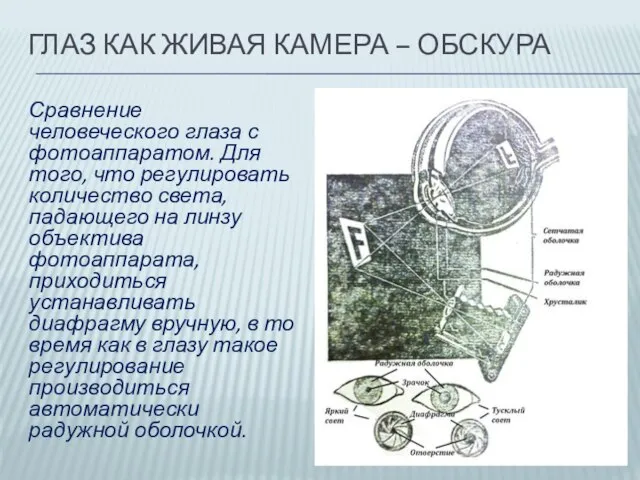 ГЛАЗ КАК ЖИВАЯ КАМЕРА – ОБСКУРА Сравнение человеческого глаза с фотоаппаратом. Для