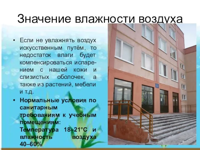 Значение влажности воздуха Если не увлажнять воздух искусственным путём, то недостаток влаги