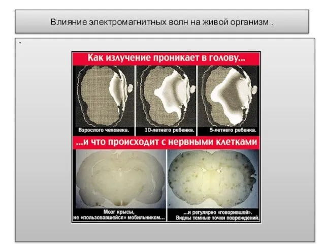 Влияние электромагнитных волн на живой организм .