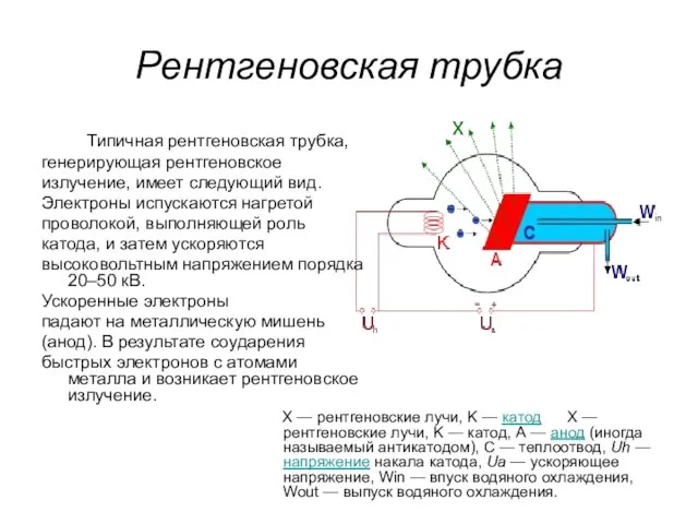 Рентгеновская трубка Типичная рентгеновская трубка, генерирующая рентгеновское излучение, имеет следующий вид. Электроны