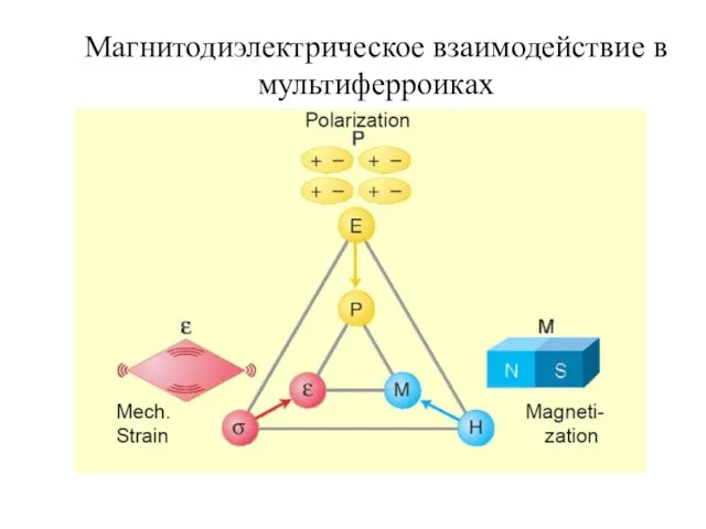 Магнитодиэлектрическое взаимодействие в мультиферроиках