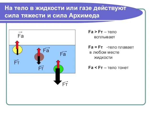 На тело в жидкости или газе действуют сила тяжести и сила Архимеда