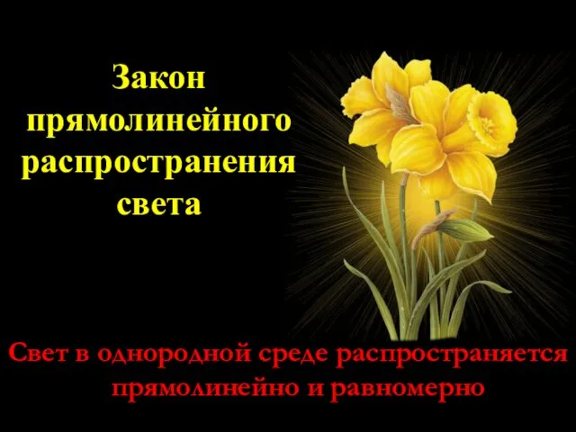 Свет в однородной среде распространяется прямолинейно и равномерно Закон прямолинейного распространения света