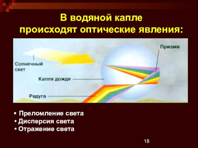 В водяной капле происходят оптические явления: Преломление света Дисперсия света Отражение света