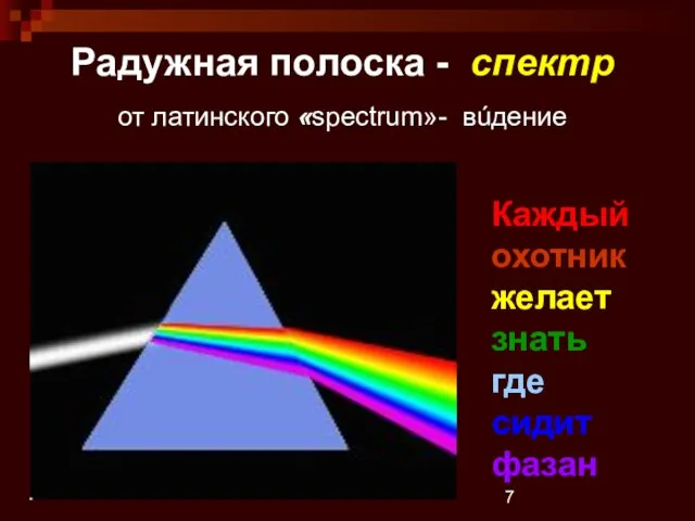 Радужная полоска - спектр от латинского «spectrum»- вúдение Каждый охотник желает знать где сидит фазан