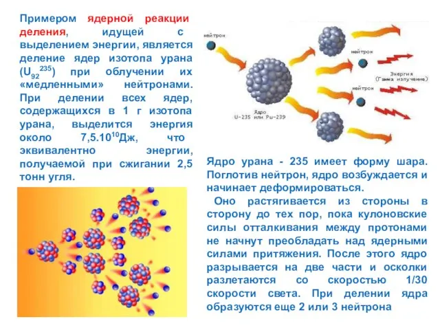 Примером ядерной реакции деления, идущей с выделением энергии, является деление ядер изотопа