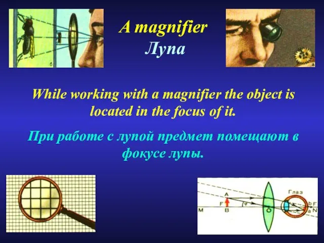 A magnifier Лупа While working with a magnifier the object is located