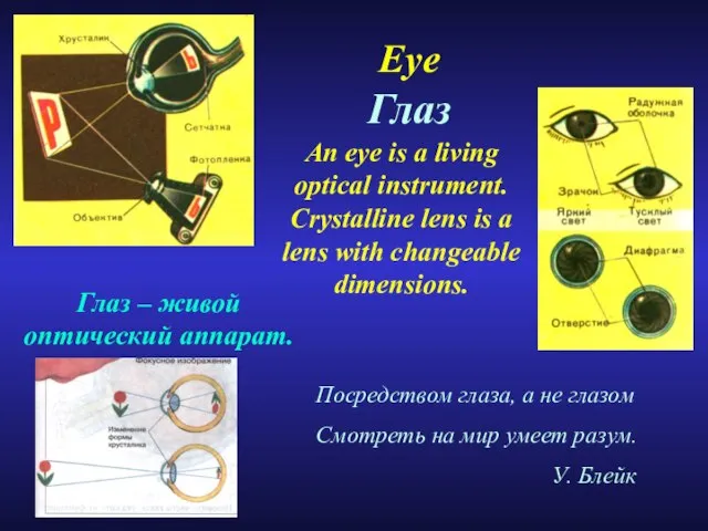 Eye Глаз Посредством глаза, а не глазом Смотреть на мир умеет разум.