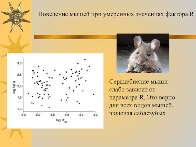 Поведение мышей при умеренных значениях фактора R Сердцебиение мыши слабо зависит от