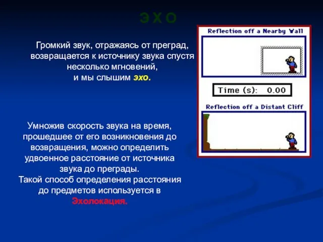 Э Х О Громкий звук, отражаясь от преград, возвращается к источнику звука