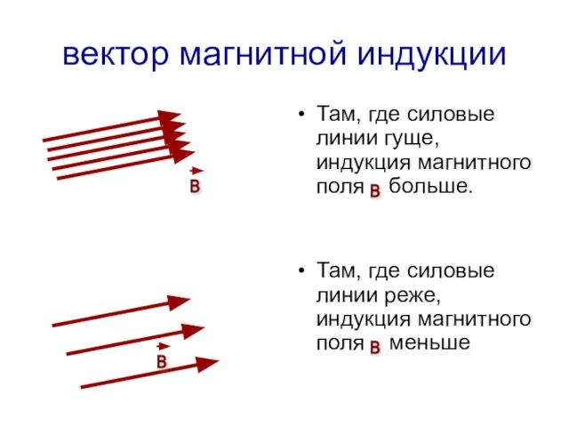 вектор магнитной индукции Там, где силовые линии гуще, индукция магнитного поля больше.