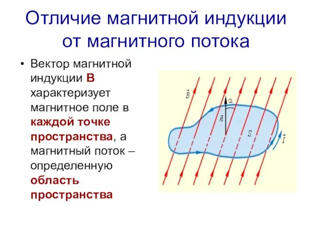 Отличие магнитной индукции от магнитного потока Вектор магнитной индукции В характеризует магнитное