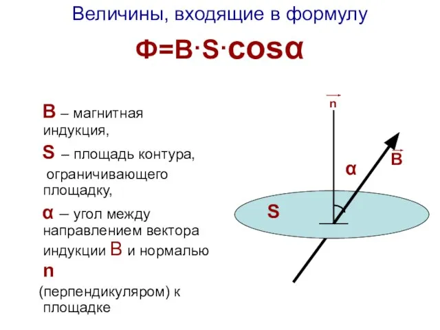 Величины, входящие в формулу Ф=В·S·cosα n В – магнитная индукция, S –