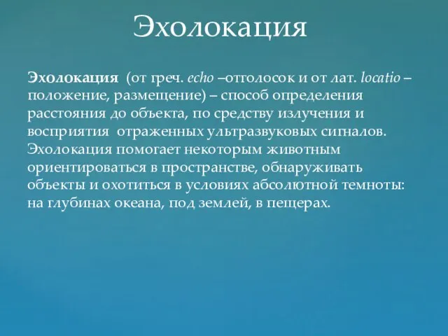 Эхолокация Эхолокация (от греч. еcho –отголосок и от лат. locatio – положение,