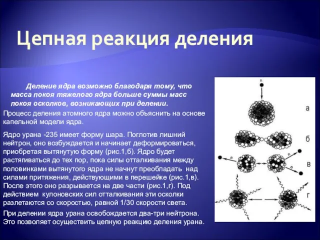 Цепная реакция деления Деление ядра возможно благодаря тому, что масса покоя тяжелого