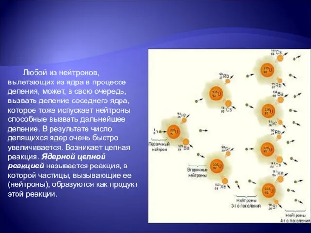 Любой из нейтронов, вылетающих из ядра в процессе деления, может, в свою