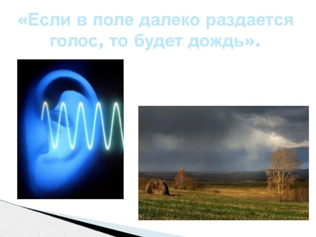 «Если в поле далеко раздается голос, то будет дождь».