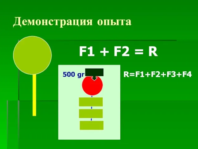Демонстрация опыта F1 + F2 = R 500 gr R=F1+F2+F3+F4