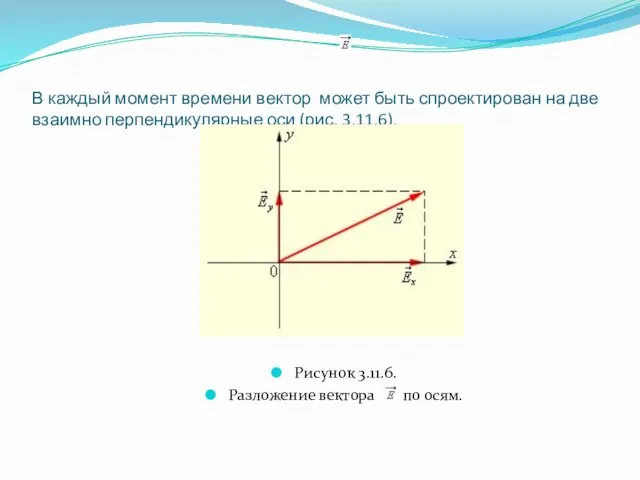 В каждый момент времени вектор может быть спроектирован на две взаимно перпендикулярные