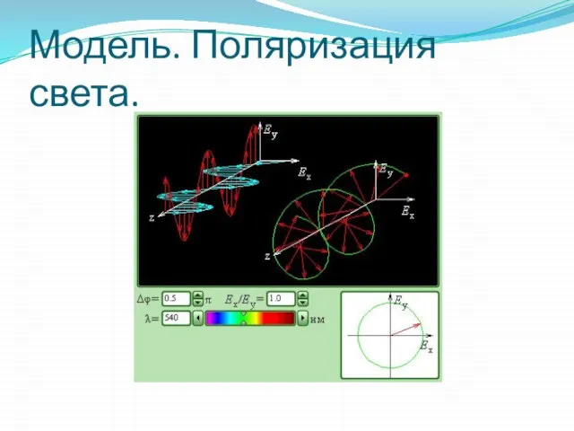 Модель. Поляризация света.