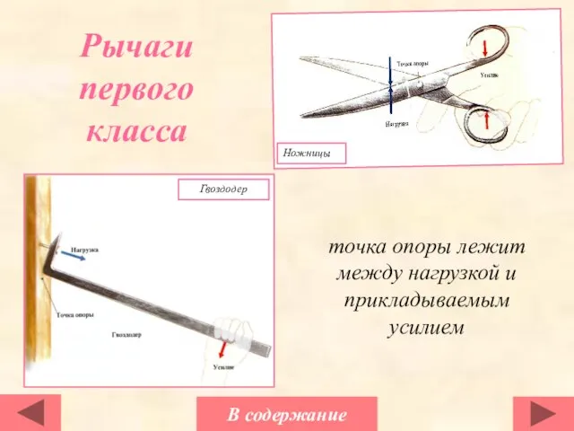 Рычаги первого класса точка опоры лежит между нагрузкой и прикладываемым усилием В содержание