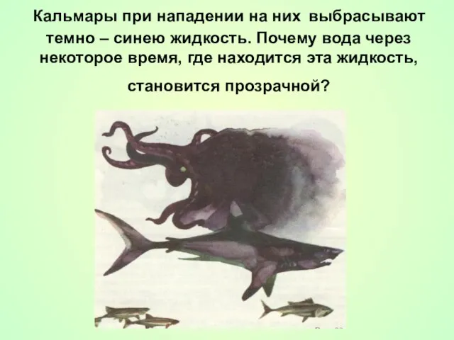 Кальмары при нападении на них выбрасывают темно – синею жидкость. Почему вода