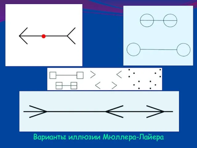 Варианты иллюзии Мюллера-Лайера