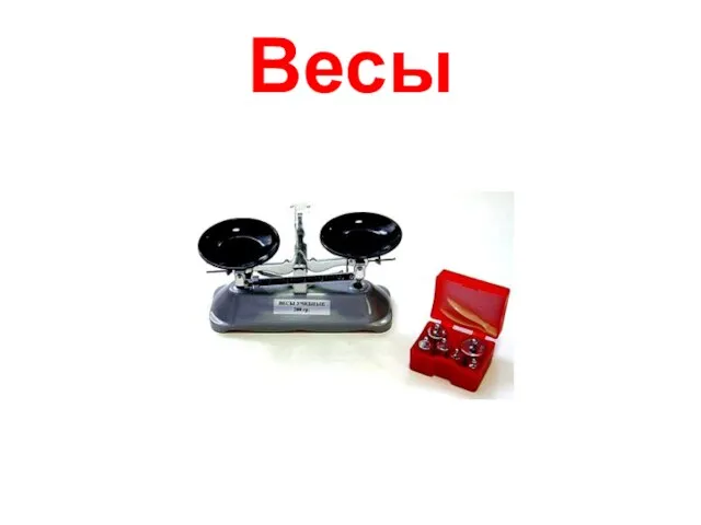 Весы