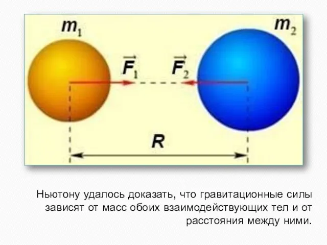 Ньютону удалось доказать, что гравитационные силы зависят от масс обоих взаимодействующих тел