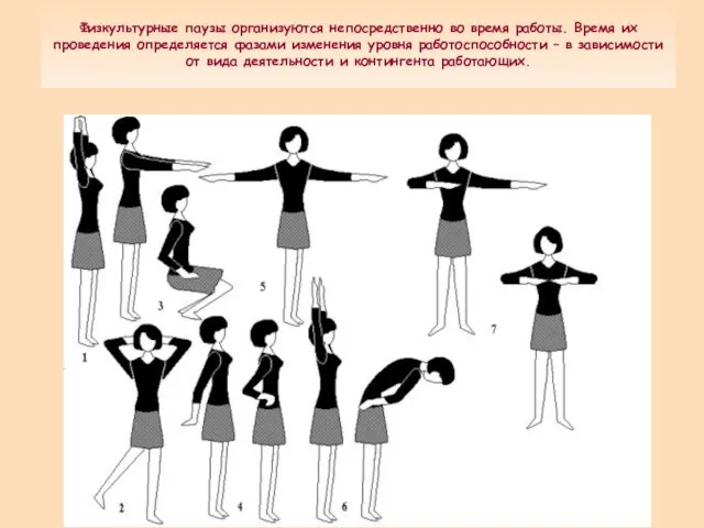 Физкультурные паузы организуются непосредственно во время работы. Время их проведения определяется фазами