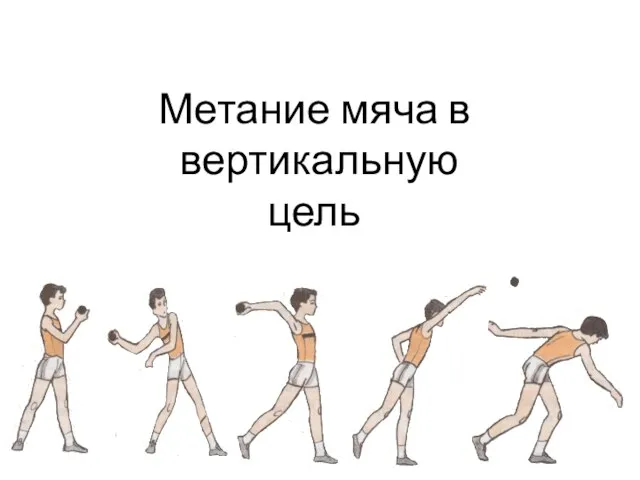 Метание мяча в вертикальную цель