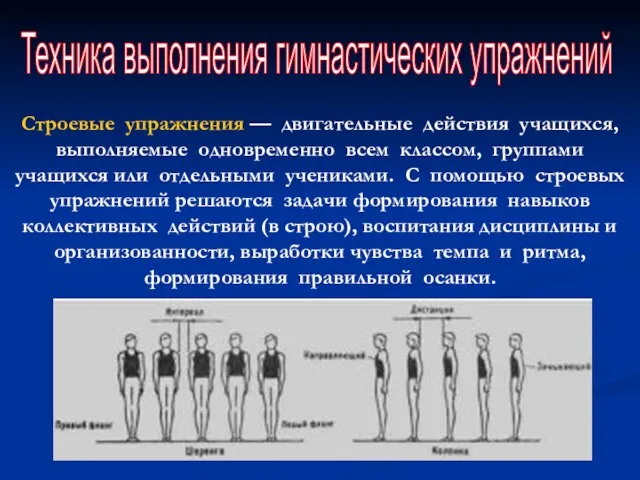 Техника выполнения гимнастических упражнений Строевые упражнения — двигательные действия учащихся, выполняемые одновременно