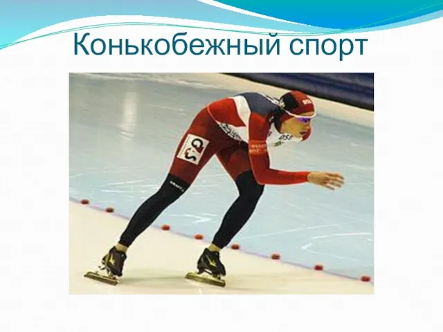 Конькобежный спорт