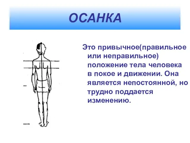 ОСАНКА Это привычное(правильное или неправильное) положение тела человека в покое и движении.