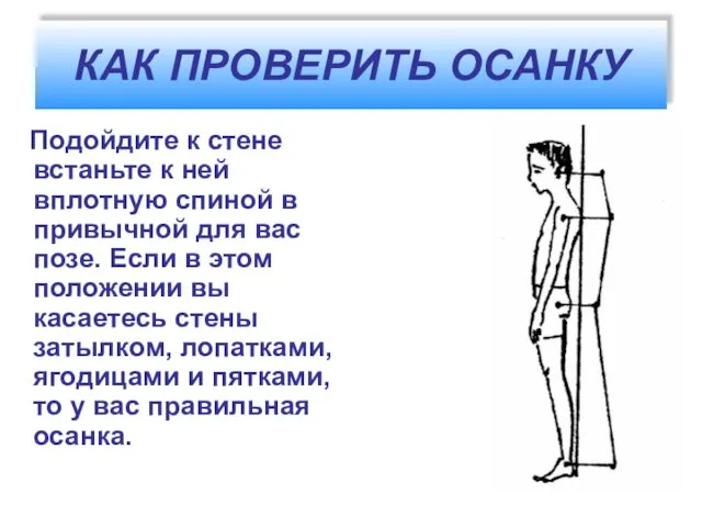 КАК ПРОВЕРИТЬ ОСАНКУ Подойдите к стене встаньте к ней вплотную спиной в