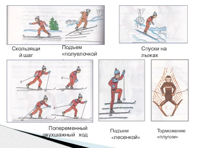 Подъем «лесенкой» Спуски на лыжах Подъем «полуелочкой» Скользящий шаг Попеременный двухшажный ход Торможение «плугом»