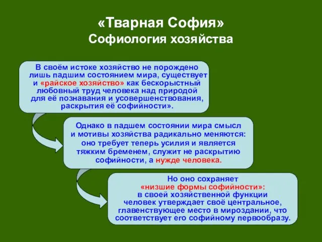 «Тварная София» Софиология хозяйства В своём истоке хозяйство не порождено лишь падшим