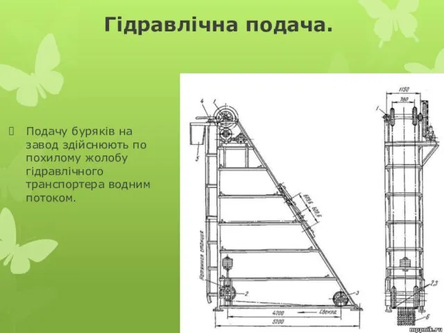 Гідравлічна подача. Подачу буряків на завод здійс­нюють по похилому жолобу гідравлічного транспортера водним потоком.