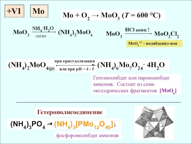 +VI Mo + O2 → MoO3 (T = 600 °C) (NH4)2MoO4(p) (NH4)6Mo7O24·