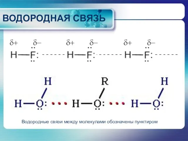 ВОДОРОДНАЯ СВЯЗЬ Водородные связи между молекулами обозначены пунктиром