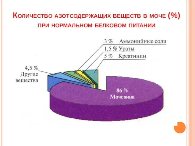 Количество азотсодержащих веществ в моче (%) при нормальном белковом питании