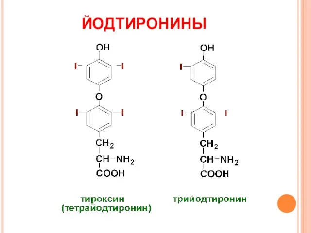 ЙОДТИРОНИНЫ