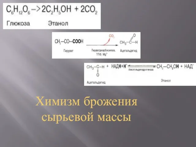 Химизм брожения сырьевой массы